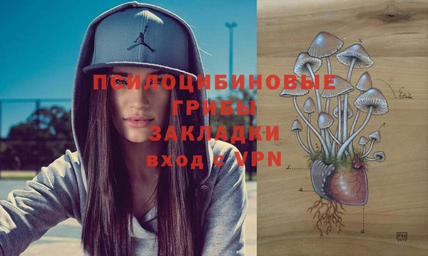 твердый Пересвет