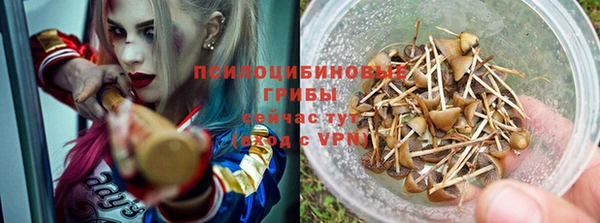а пвп мука Лиски